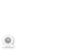 Ginstayleaka