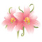 flowered bath